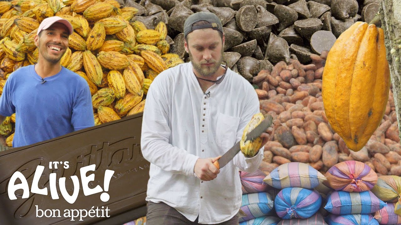 Brad Makes Chocolate in Ecuador: Part 1   It