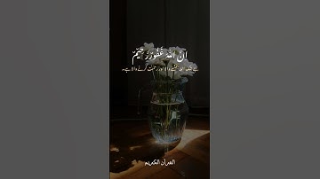 تلاوة خاشعة للقارئ  عبد الرحمن مسعد. #قران_كريم #قرآن #quran #مسلم