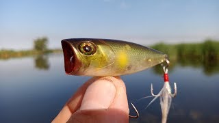 Catching PERCH on Popper