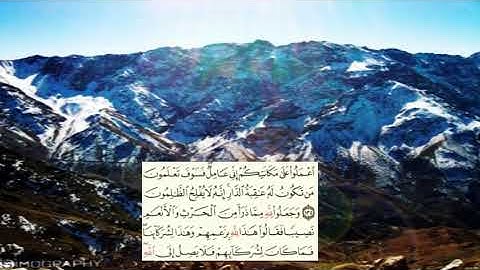 صفحة-145 page سعد الغامدي - -سورة الانعام -al an'am