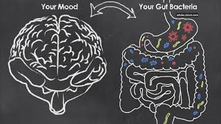 How food determines your mood