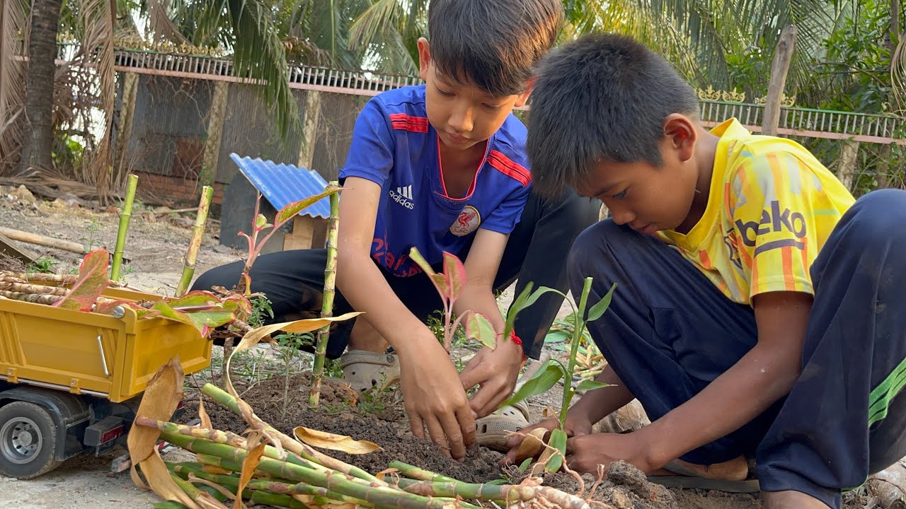 RC #vdo43 - They are working hard to plant flowers to decorate the path for their machinery.