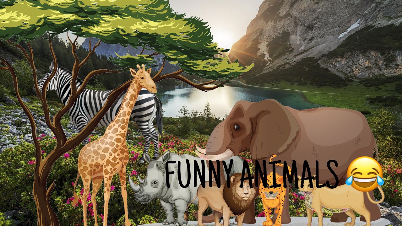 Какие звуки издают животные зебра, носорог, тигр |  What sounds do animals make zebra rhinoceros