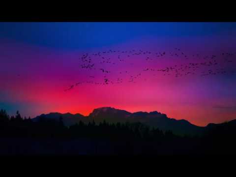 Creaky Jackals - High Tide (feat. WILD)