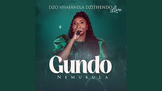 Dzina Heli Lina Maanda (Live)