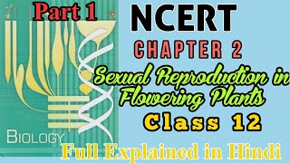 Sexual reproduction in flowering plants ...