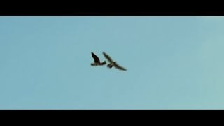 On The Milky Road - Final Scene