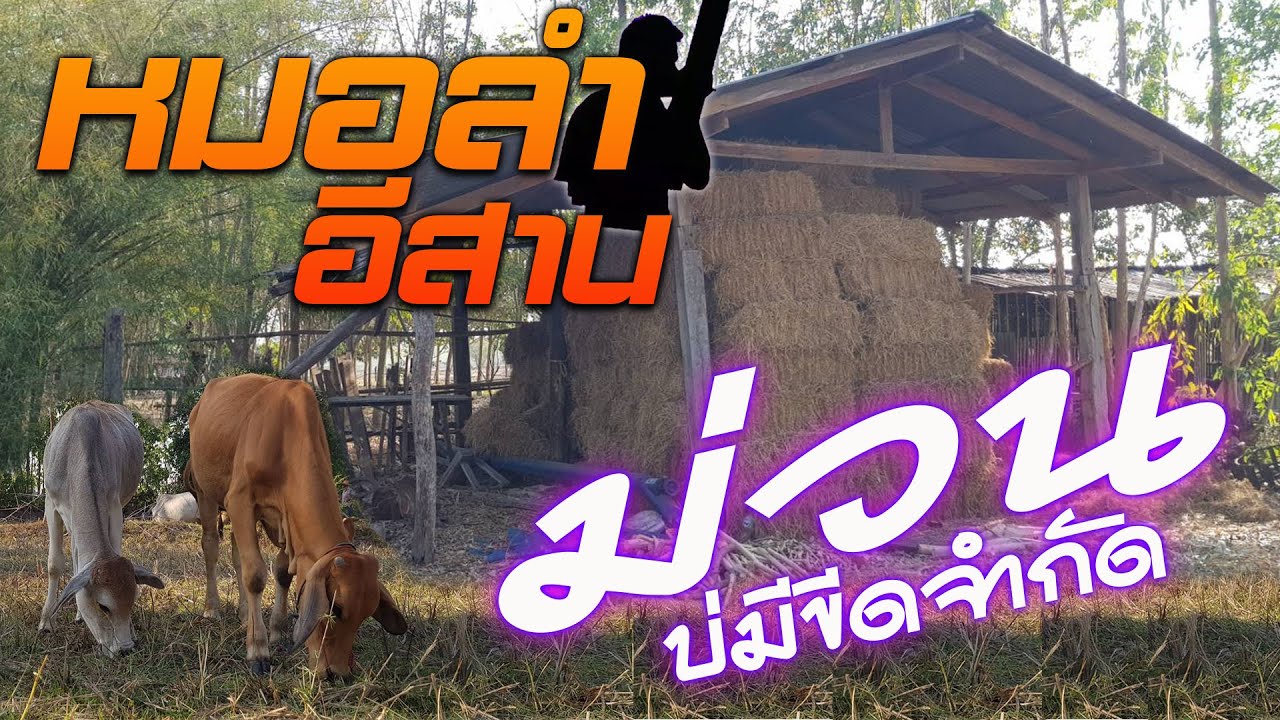 หมอลำอีสาน ม่วนบ่มีขีดจำกัด