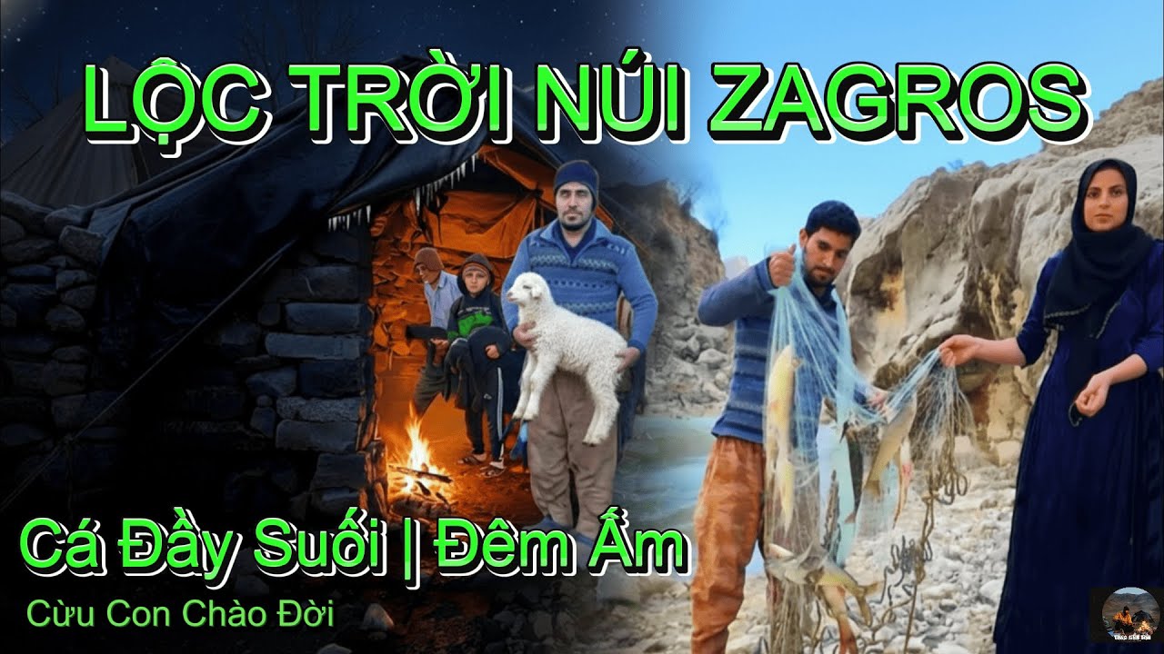 Du Mục Iran Tập 38: Lộc Trời Núi Zagros – Cá Đầy Suối & Bữa Tối Ấm Áp