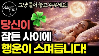 틀어 놓고 자면 아침에 눈을 떴을 때 '모든 게 잘 풀리는 사람, 운이 좋은 사람'으로 깨어나게 해 주는 영상 / 당신의 인생에 최고의 행운이 시작됩니다 / 책읽어주는여자 오디오북