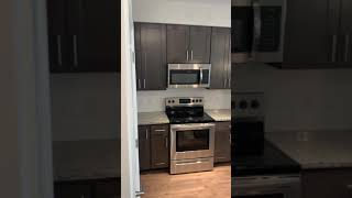 Beechtree Apartments Tour: Calvert 1 bedroom