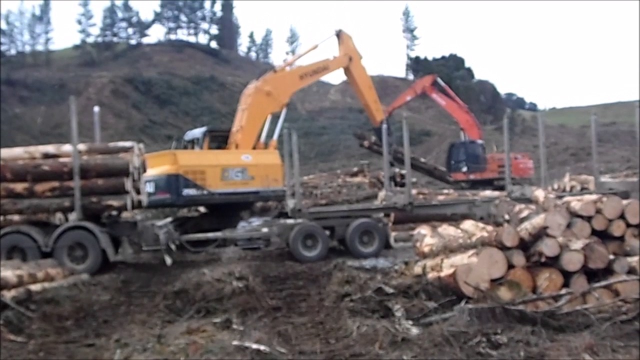 logging trucks loading wood onto Trucks YouTube