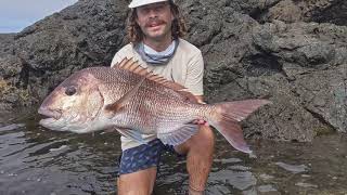 Snapper off the rocks on soft baits - NZ Files.
