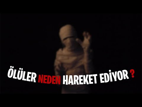 Bir vaqtning ozida mushukdagi ikkita sik (video onlayn)