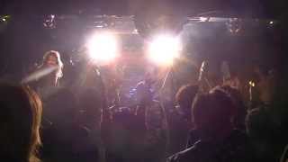 Brunet Bull - Super Hero