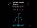 Why e^(i\pi) + 1 = 0 is actually pure art ✨