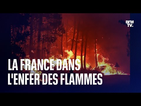 La Gironde, le Jura, Brocéliande... Voici le point sur les incendies en cours en France