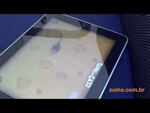 iPad: Game for Cats