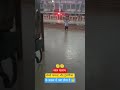 लाल सलाम Box Boy 🫡#train #railway #railwaystation #locopilot #guard #viral #shorts #reels #short