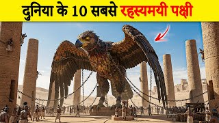 Download lagu 10 Mysterious & Weird Birds in the World 🌍 10 Mysterious & Weird Birds in the World