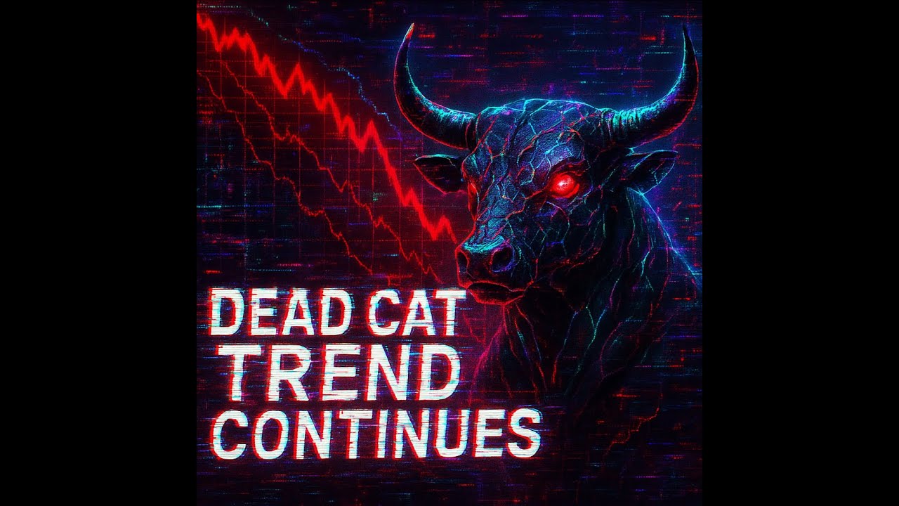 Stock Market Continues Dead Cat Down Trend