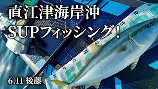 Joetsu Fishing] SUP fishing off the coast of Naoetsu! - YouTube