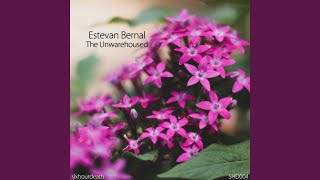 The Unwarehoused radio Edit