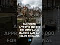 Amsterdam Builds Stairs to Save Cats