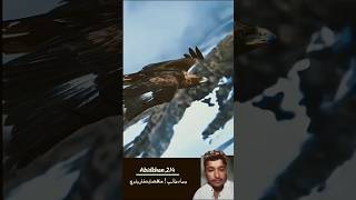Surah Al-Baqarah By Egzon Ibrahimj #tilawat #alquran #viralvideo #birds #quran #youtubeshorts#shorts