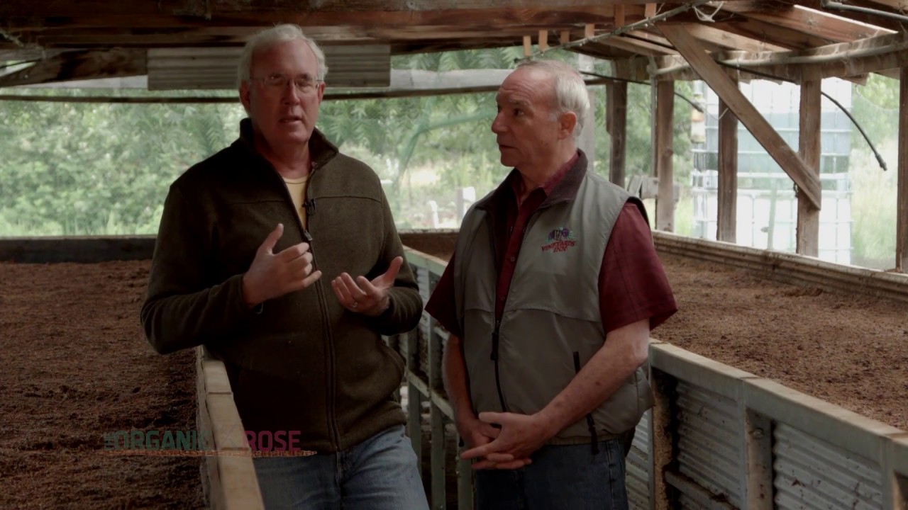 Worm Farm - The Organic Rose