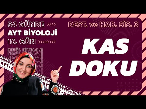 16) Kas Doku | Destek ve Hareket Sistemi | 11. Sınıf Biyoloji | 2024 AYT Biyoloji Kampı 16. Gün