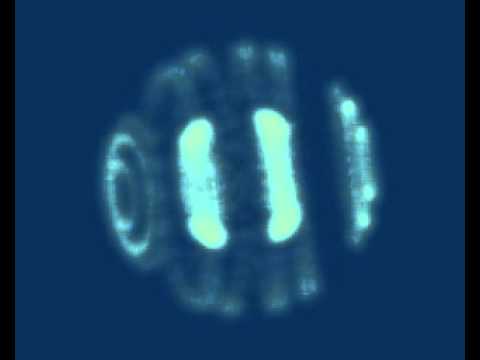 st array 002.avi