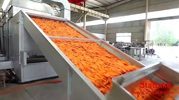 Carrot drying machine carrot processing machine in South Africa