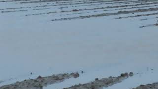 Campuri Inundate Dupa Ploile Din Decembrie 2023