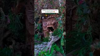 Most dreamy ๐คฉ Cafe in๐ Bali Most dreamy ๐คฉ Cafe in๐ Bali