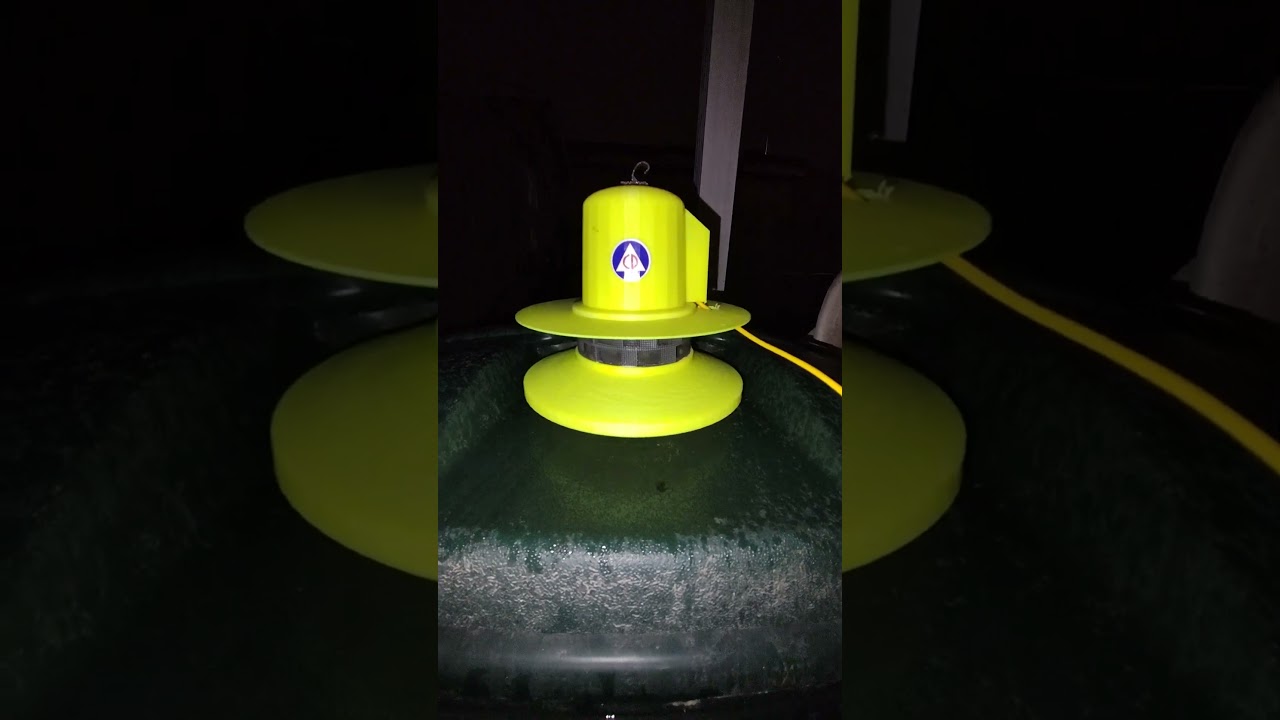 Mini ACA Banshee New Year 2025