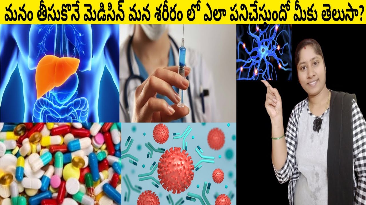 How Medicine Works In Human Body 