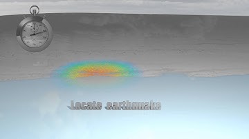 Quake-Catcher Network: What happens during an earthquake?