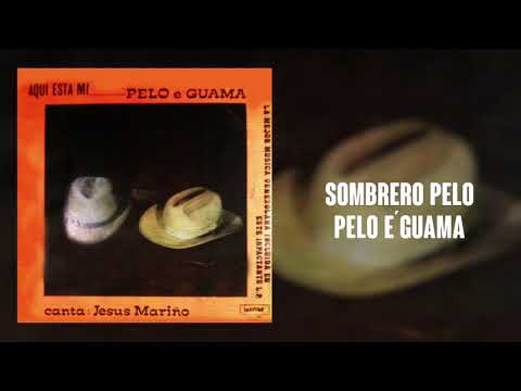 Sombrero Pelo Pelo E´Guama - Jesus Mariño | Música Llanera - YouTube