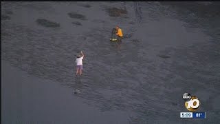 Lifeguard Comes To Aide Of Dog Stuck In Mud At Dog Beach