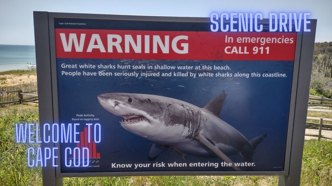 Cape Cod Scenic Drive