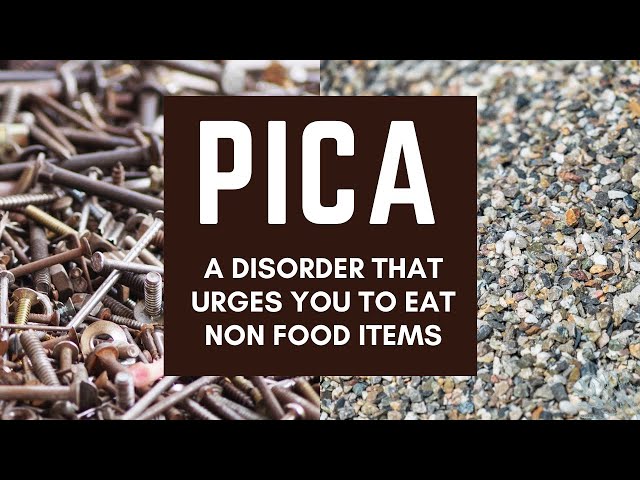 Pica (disorder) - Wikipedia