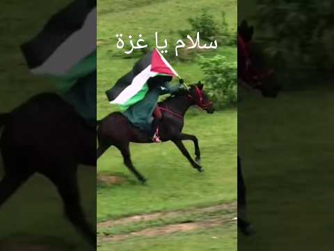 سلام يا غزة يا وعدنا الصادق يا صادق الوعد