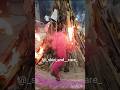 Holi celebration 2025 is great fun with family #holi #shorts