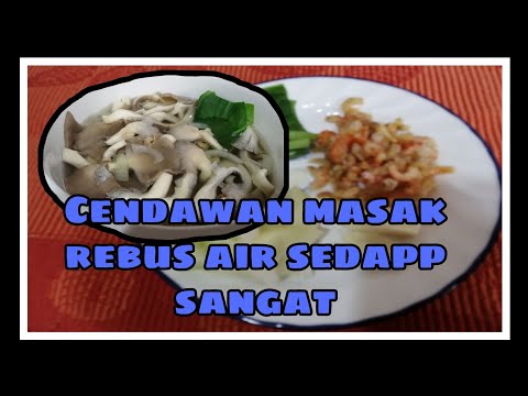 Video: Rebus Dengan Cendawan