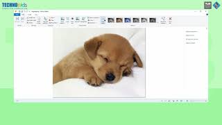 TKPHIllustrator Q4M5 old
