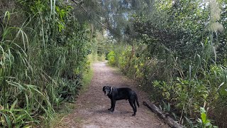 Markham Park | Sunrise, Florida | Wayne and Melissa Travel (December 2022)