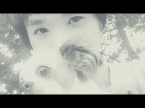 솔로가 부른 ~ '나 항상 그대를'