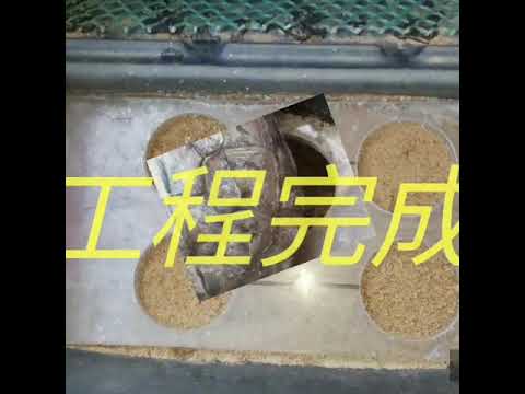 Diy 烏龜 產蛋膠板