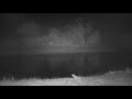 Djuma cam Hyena with a kill ,Tlalamba and more 20 sept 2020